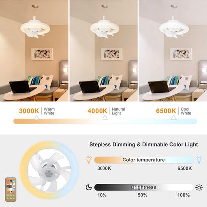 Ceiling Fan with LED Light